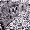 Graveyard / Prague
