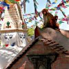 Monkey Temple / Kathmandu